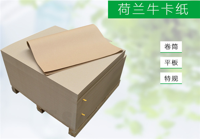 002荷蘭?？?jpg